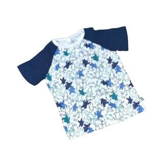 SPLENDID // Boys Dancing Bear Raglan T-Shirt